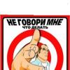 wert51