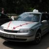 Medved-2011