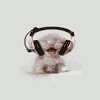 Mishel_v_Reno